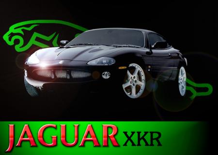 jaguar