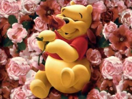 c'est winnie il est trop beau a oui qu'est ce que vous en penser