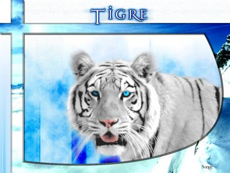 ça c'est juste ptit chat et ça mort pas il faut me croire trop mimi