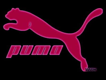 puma 