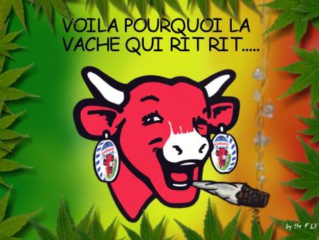 mdr la vache qui rit 