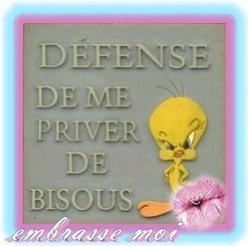 vous avez compris je veux des bisous 
