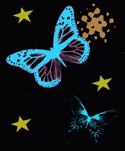 des petits papillons 