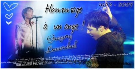 hommage a un ange gregory lemarchal c'est quand meme degelace qu'ils ont pas trouver des medicaments pour le soigner 