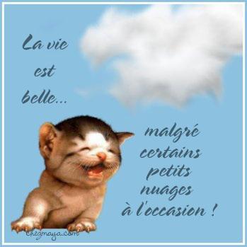 mdr