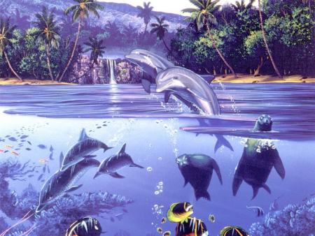 trop beau mes tits dauphins 